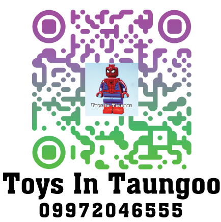 toysintaungooqr